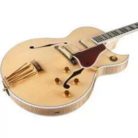 Byrdland Florentine Hollowbody - Natural